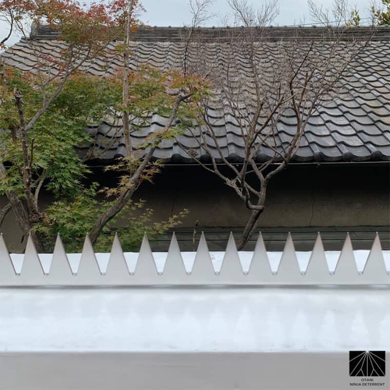 Ninja Deterrent Installation
