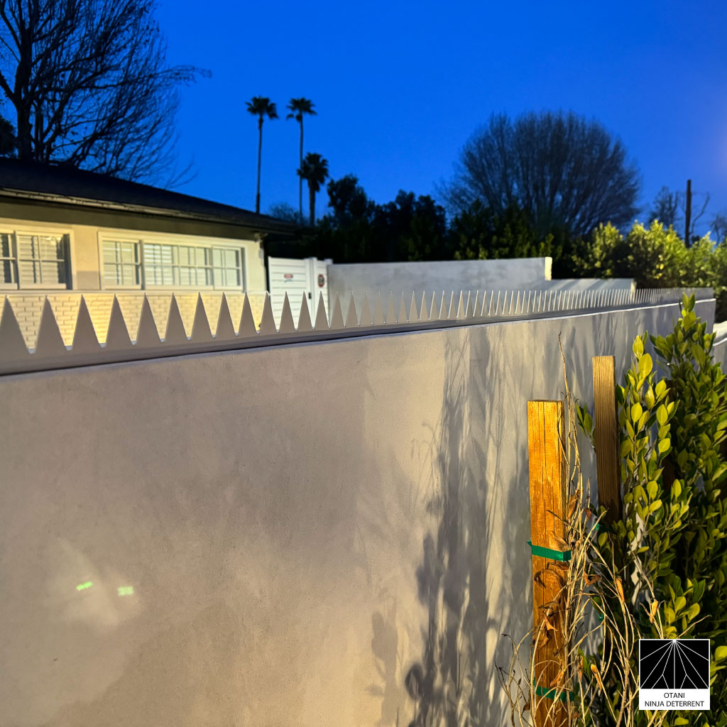 GIZAGIZA white stainless security spikes installed on modern wall at evening