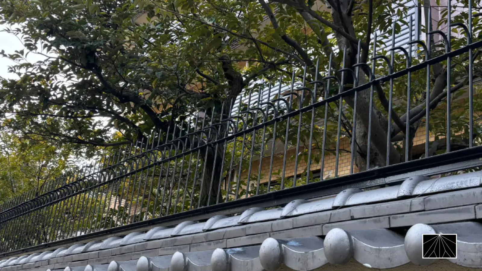 Ninja Deterrent