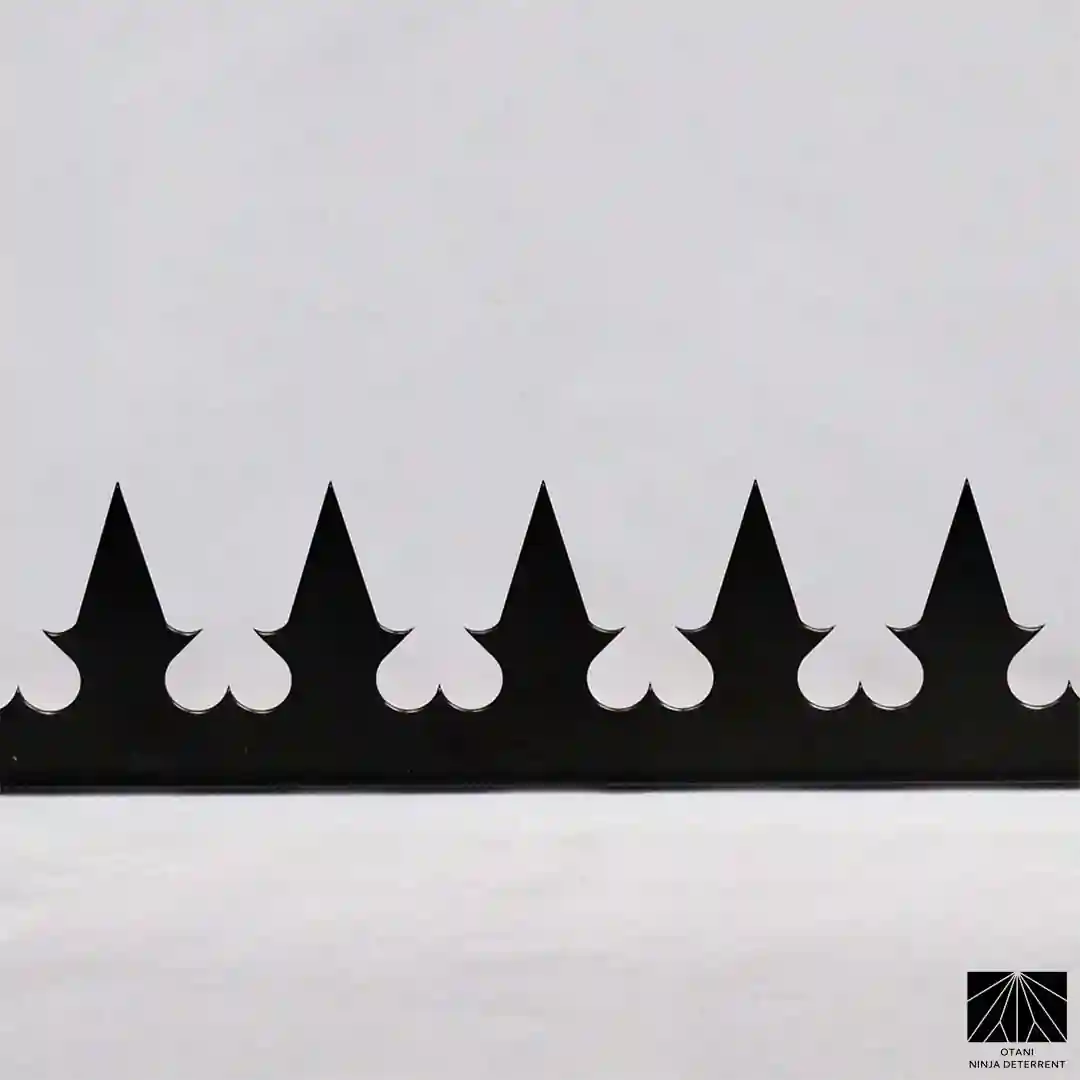 Gothic Series