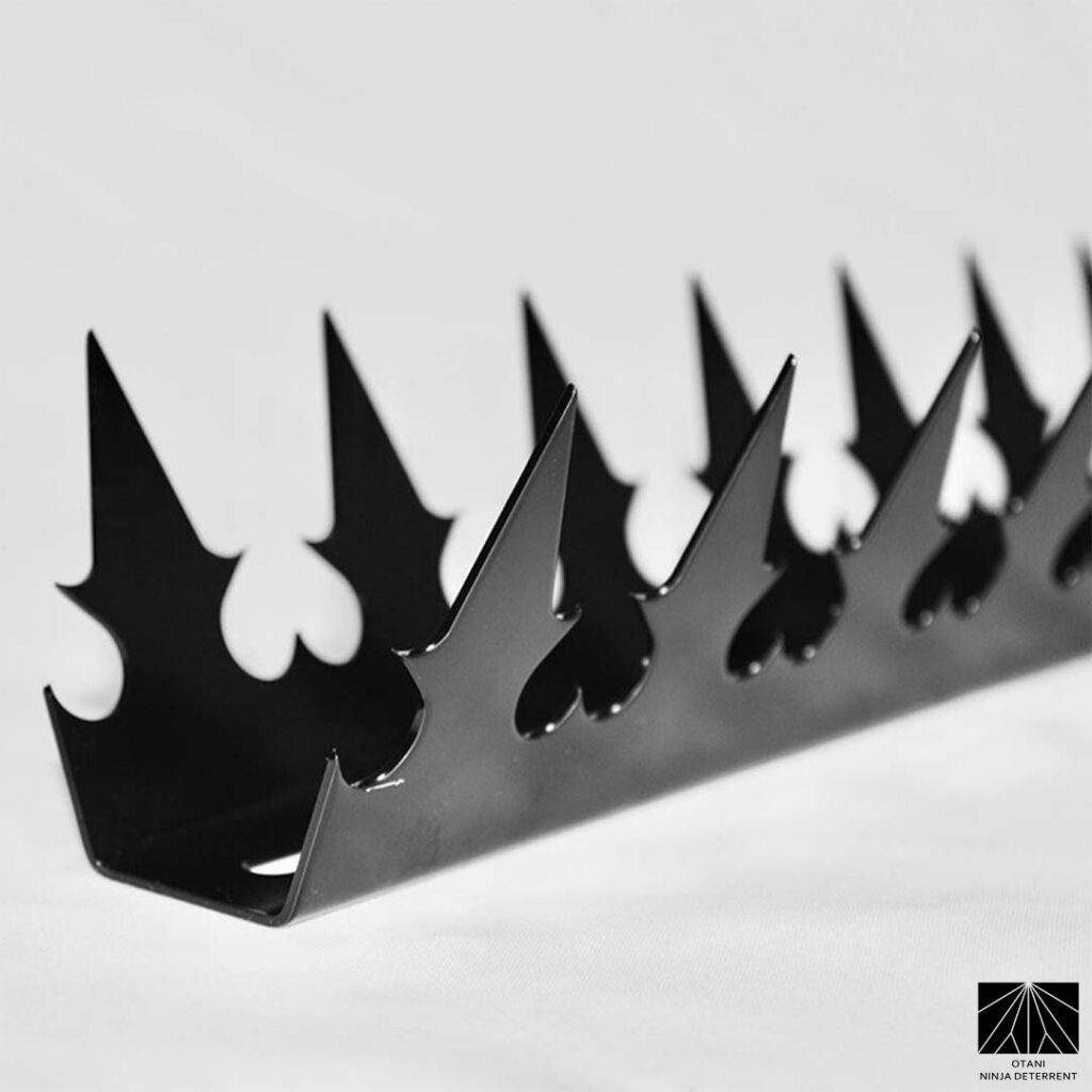 Custom Order