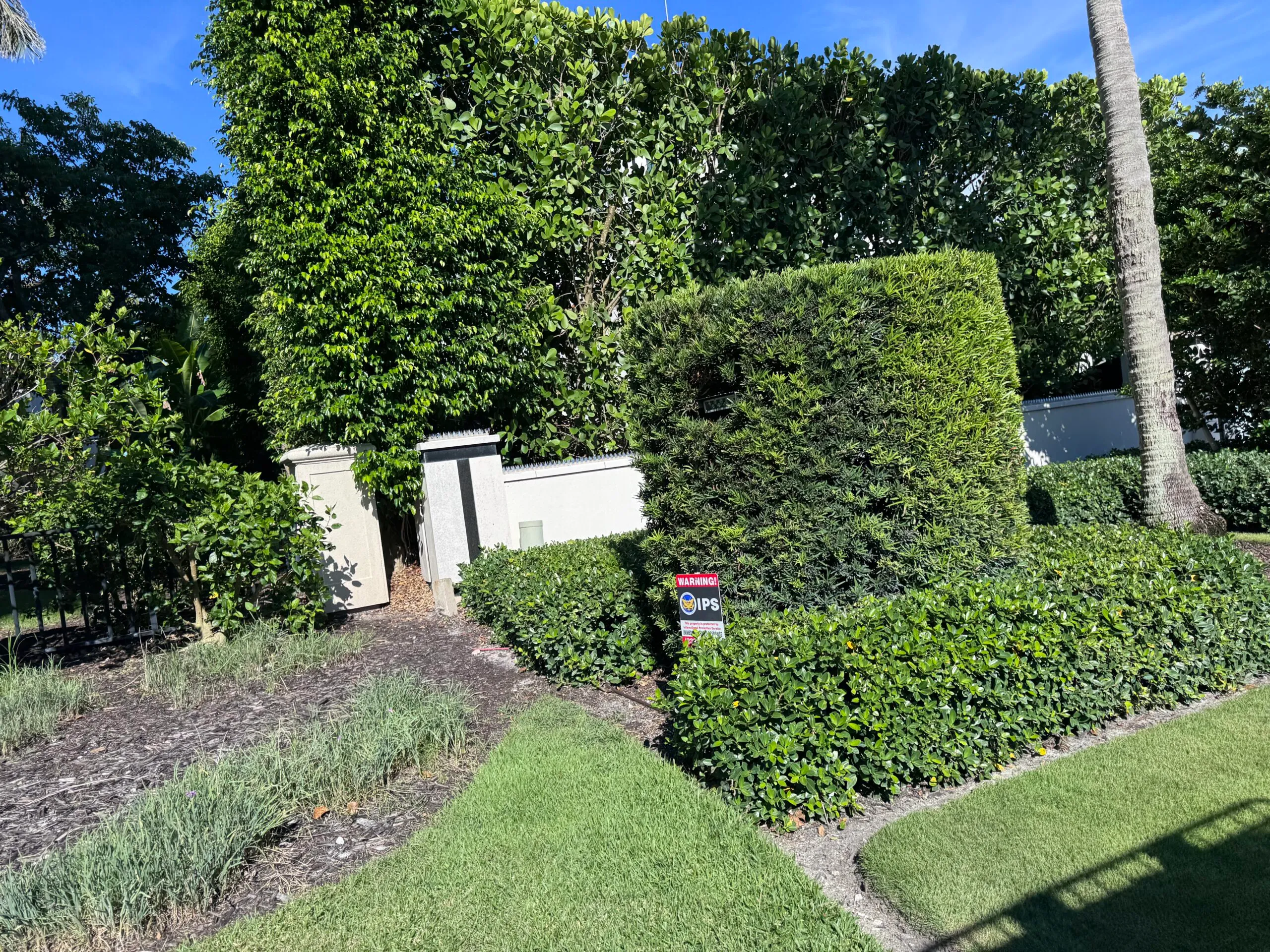 A garden with hedges, a security warning sign, and tall trees.
