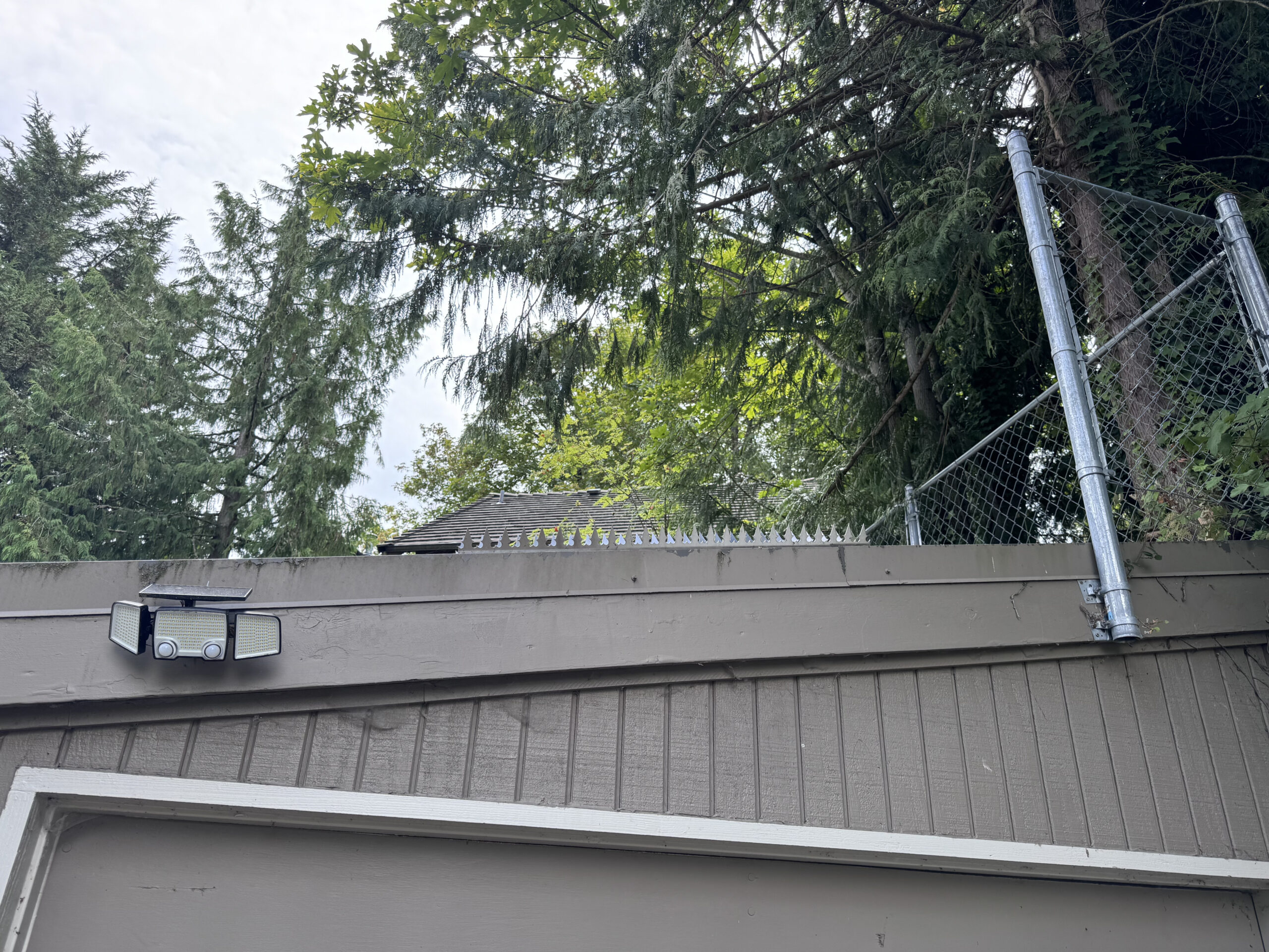 Seattle滨水住宅连续尖刺线近景。