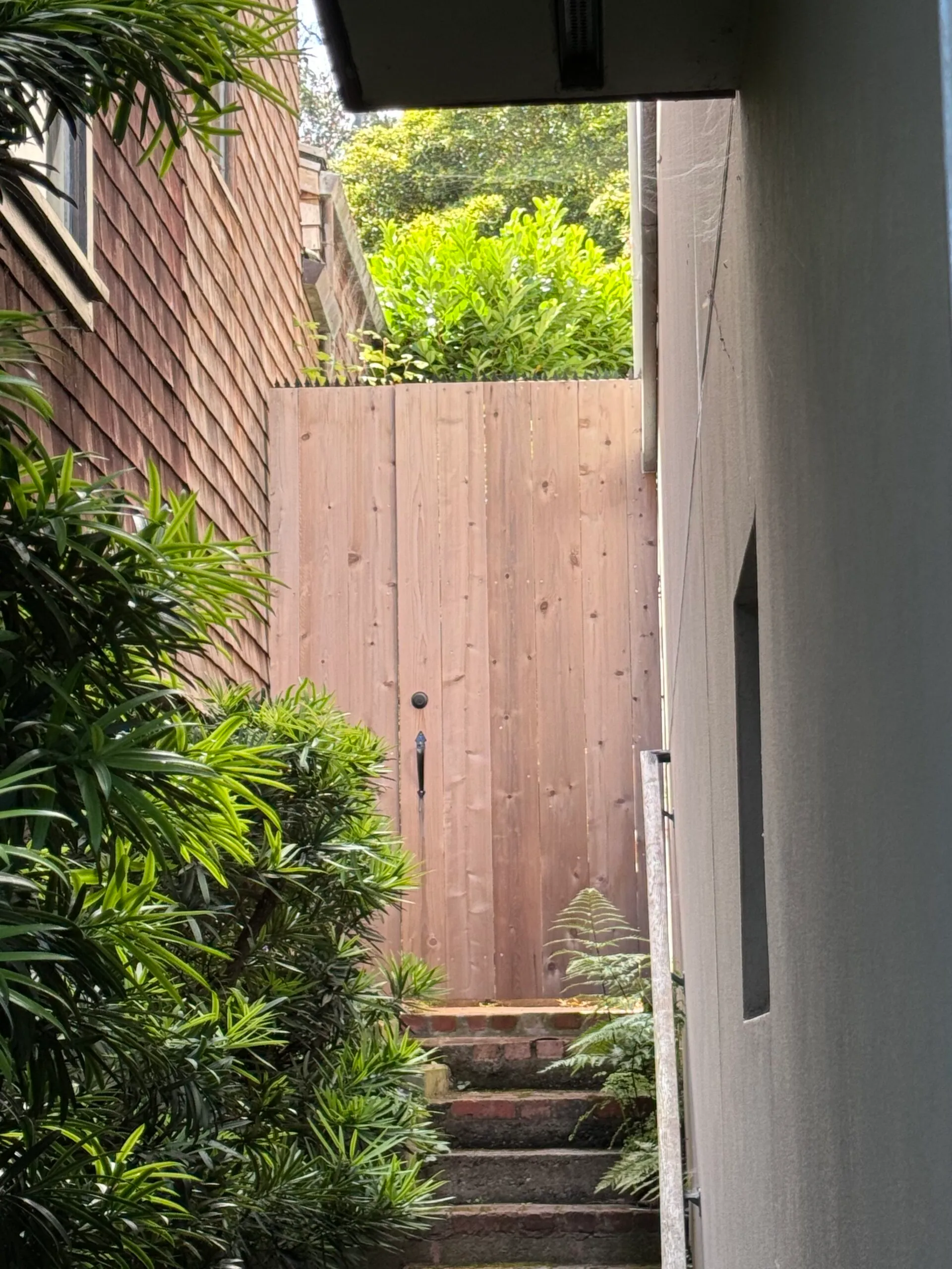 Wooden gate at the top of a short staircase surrounded by plants. Anti-climb spikes are installed continuously along the top edge.