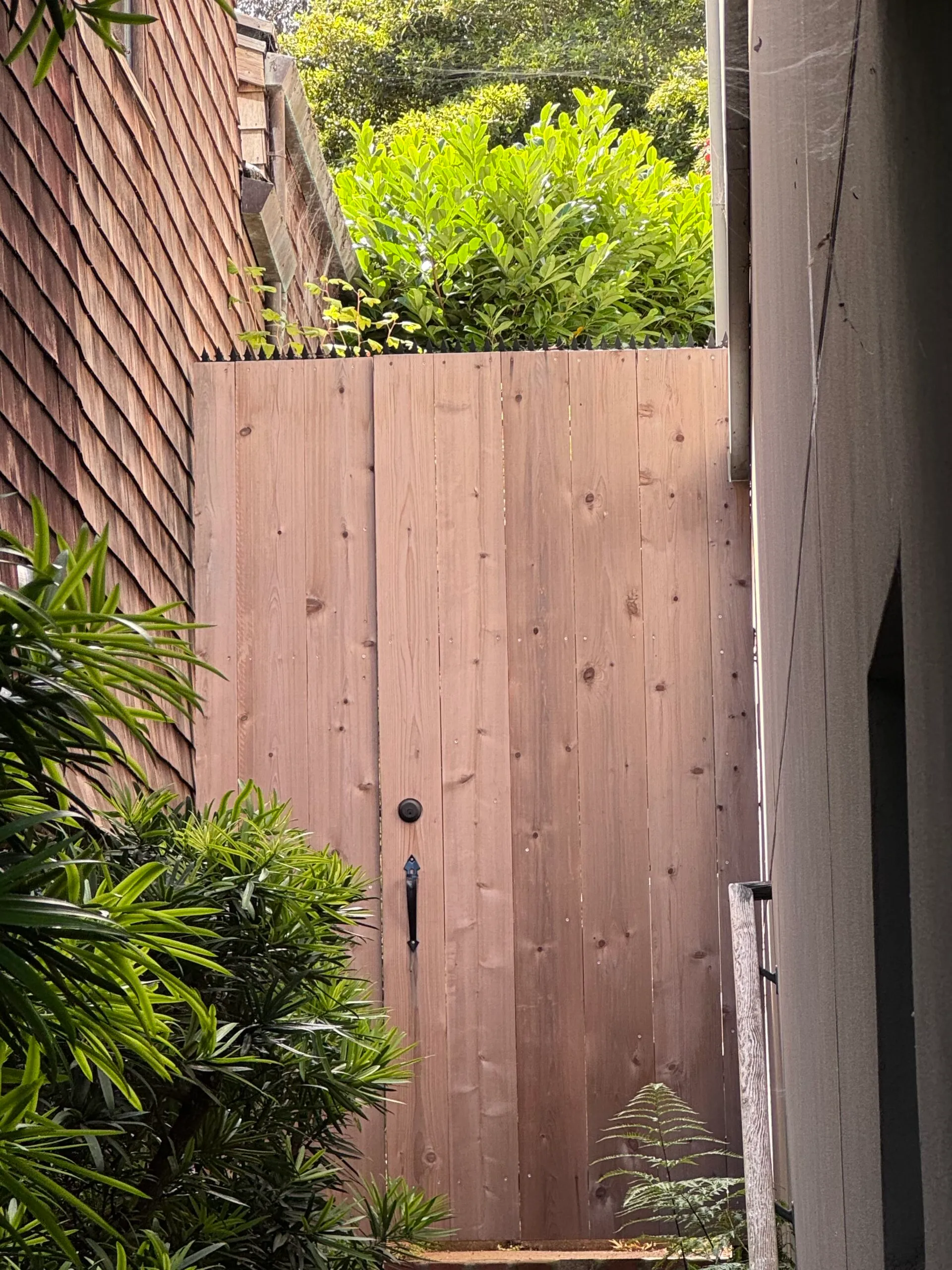 Wooden gate at the end of a pathway surrounded by greenery. Anti-climb spikes are installed on top.