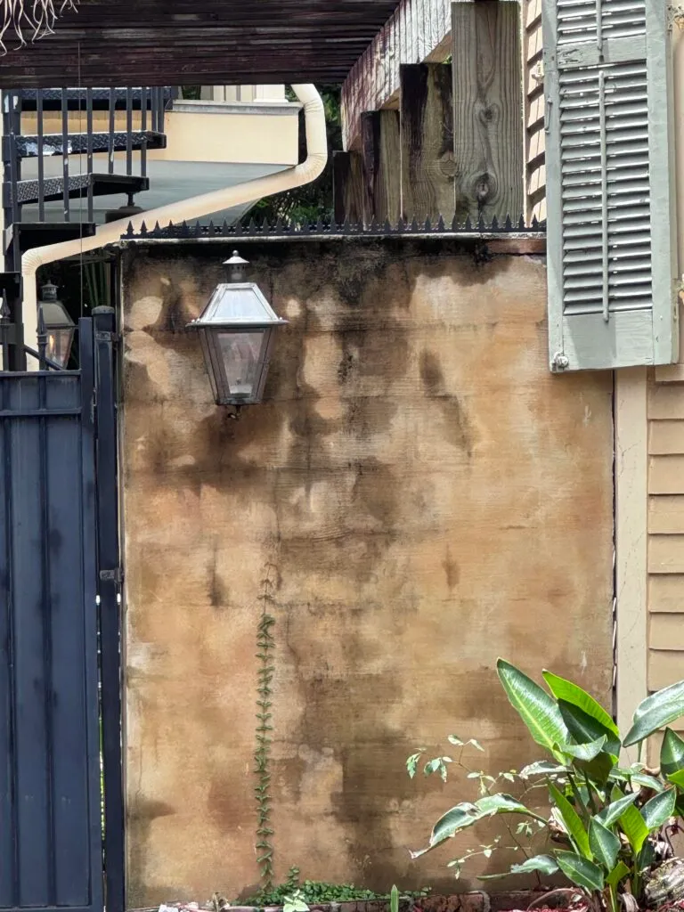 Anti-climb security spikes installed on top of a wooden privacy fence next to a modern house