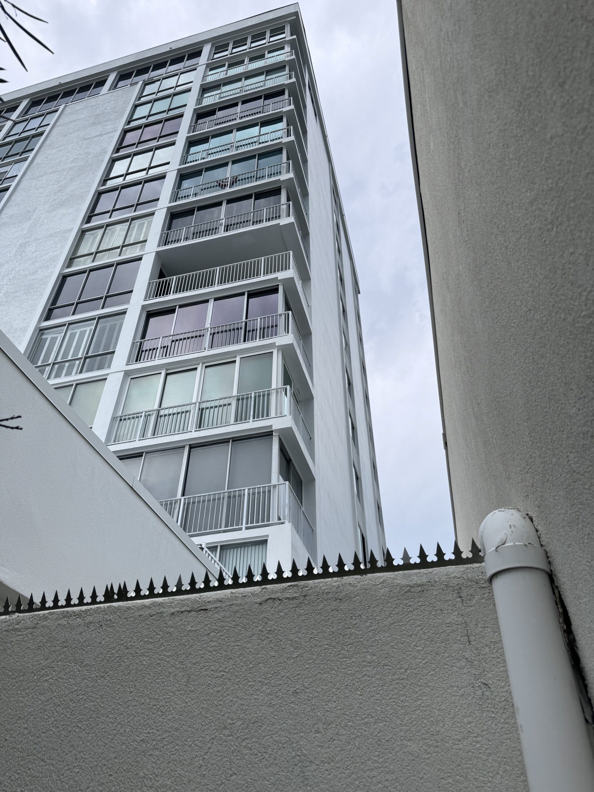 Anti-Kletter-Spitzen auf einer Stuckmauer. Im Hintergrund ist ein Wohnhochhaus zu sehen.