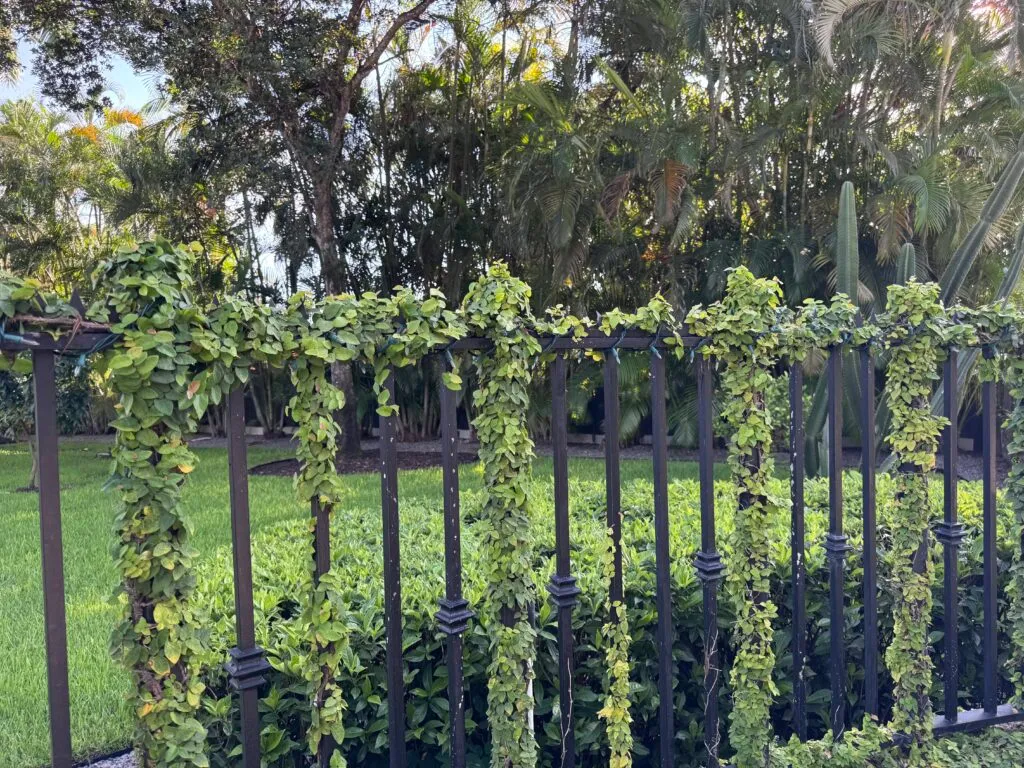 Perimeter metal fence blending into the landscaping. Gothic Ninja Deterrent™ installed on the top edge.