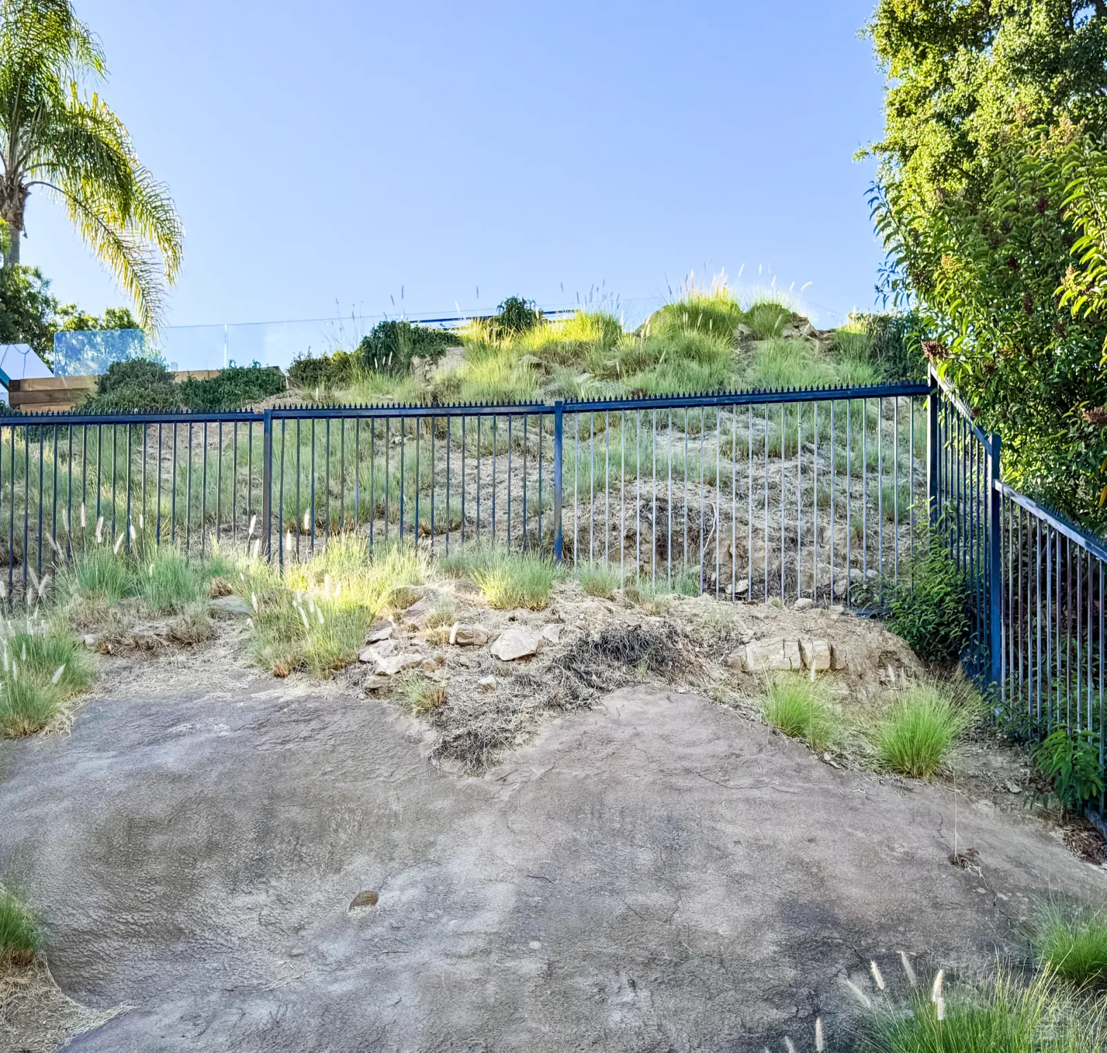 Black metal fence with vertical bars along a slope. Anti-climb spikes on the top edge, with vegetation around.