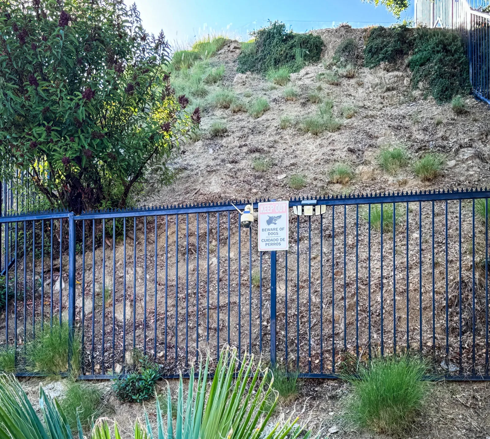 Metal fence with signs and lighting. Gothic (Black) anti-climb deterrent on the top edge.