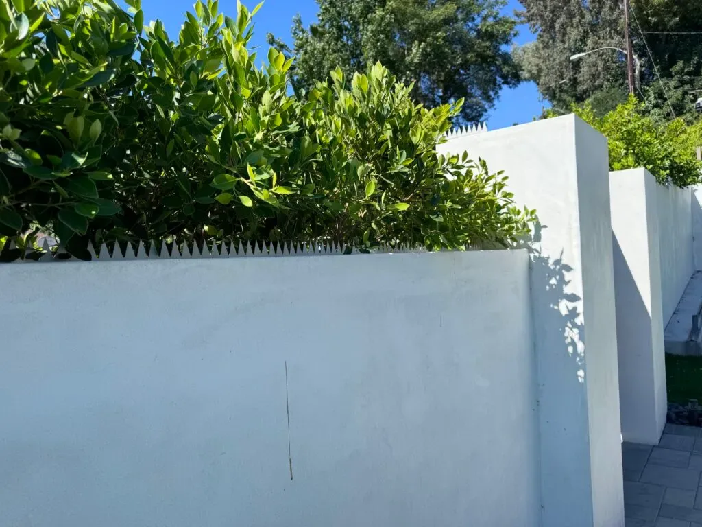 Weiße Stuckwand mit silbernen Überkletterschutz-Spikes. Grüne Sträucher im Hintergrund.