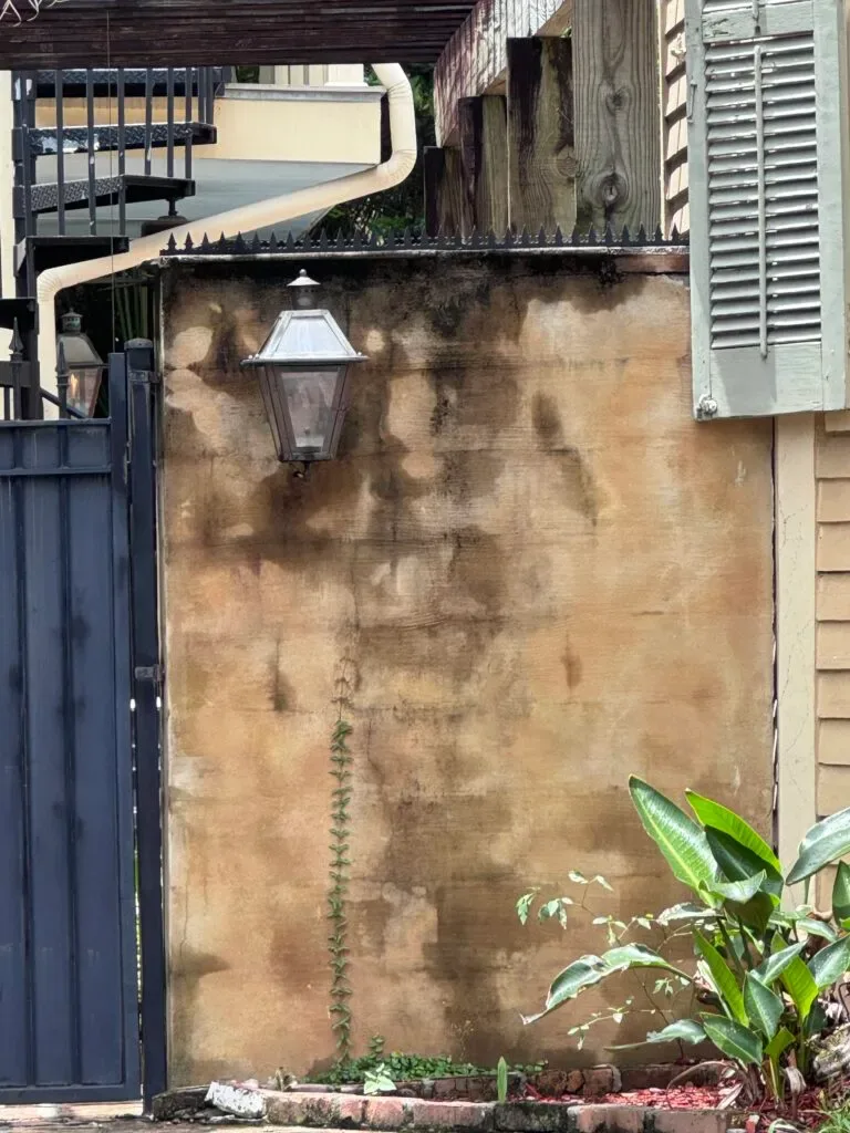 Ligne continue de pics de sécurité anti-escalade au sommet d'une longue clôture en bois noire devant un bâtiment moderne.