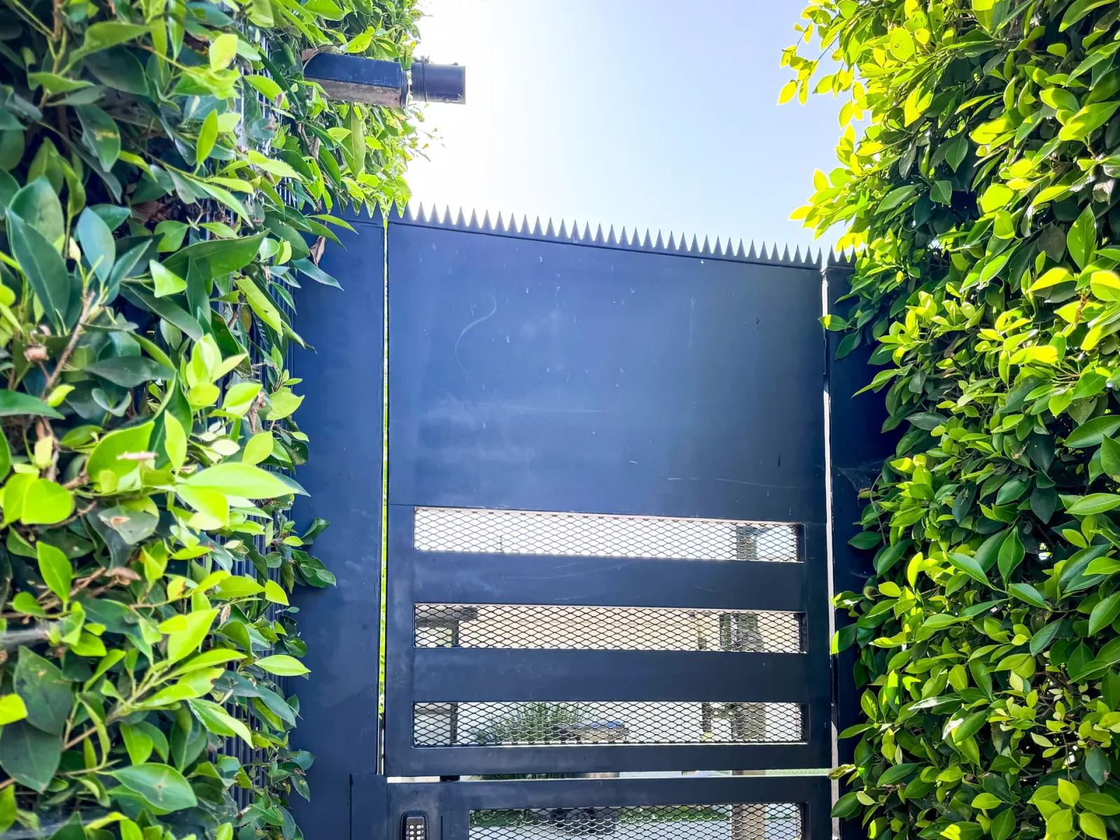 Schwarzes Sicherheitstor mit Gittereinsätzen, umgeben von einer dichten Hecke, und Überkletterschutz-Spikes.