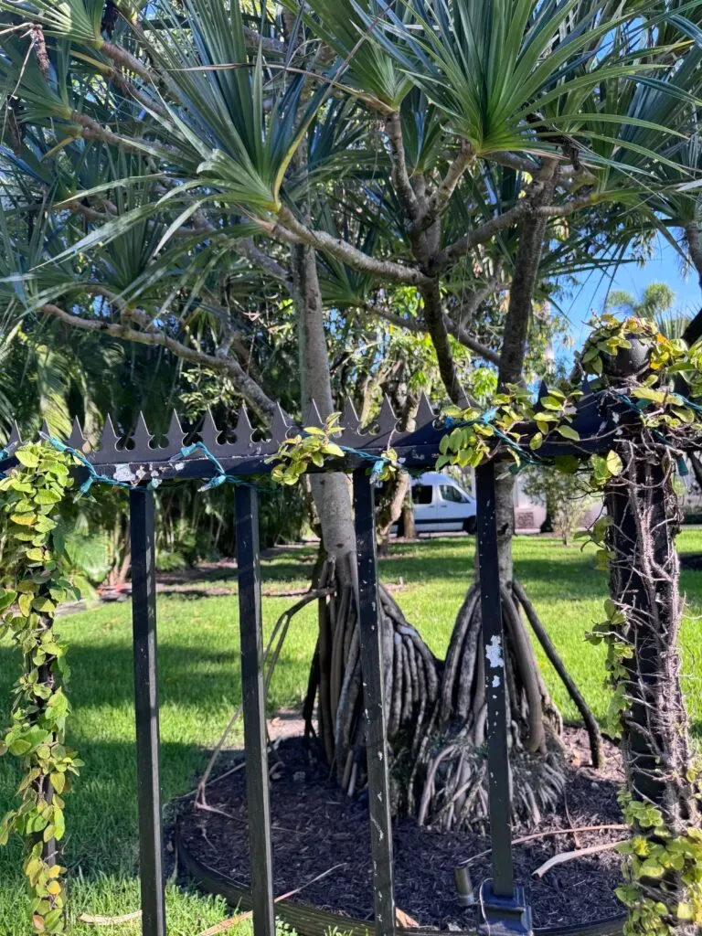 Nahaufnahme der Gothic-Spikes vor dem Hintergrund tropischer Vegetation. Dezente und hochwertige Sicherheitsausführung.