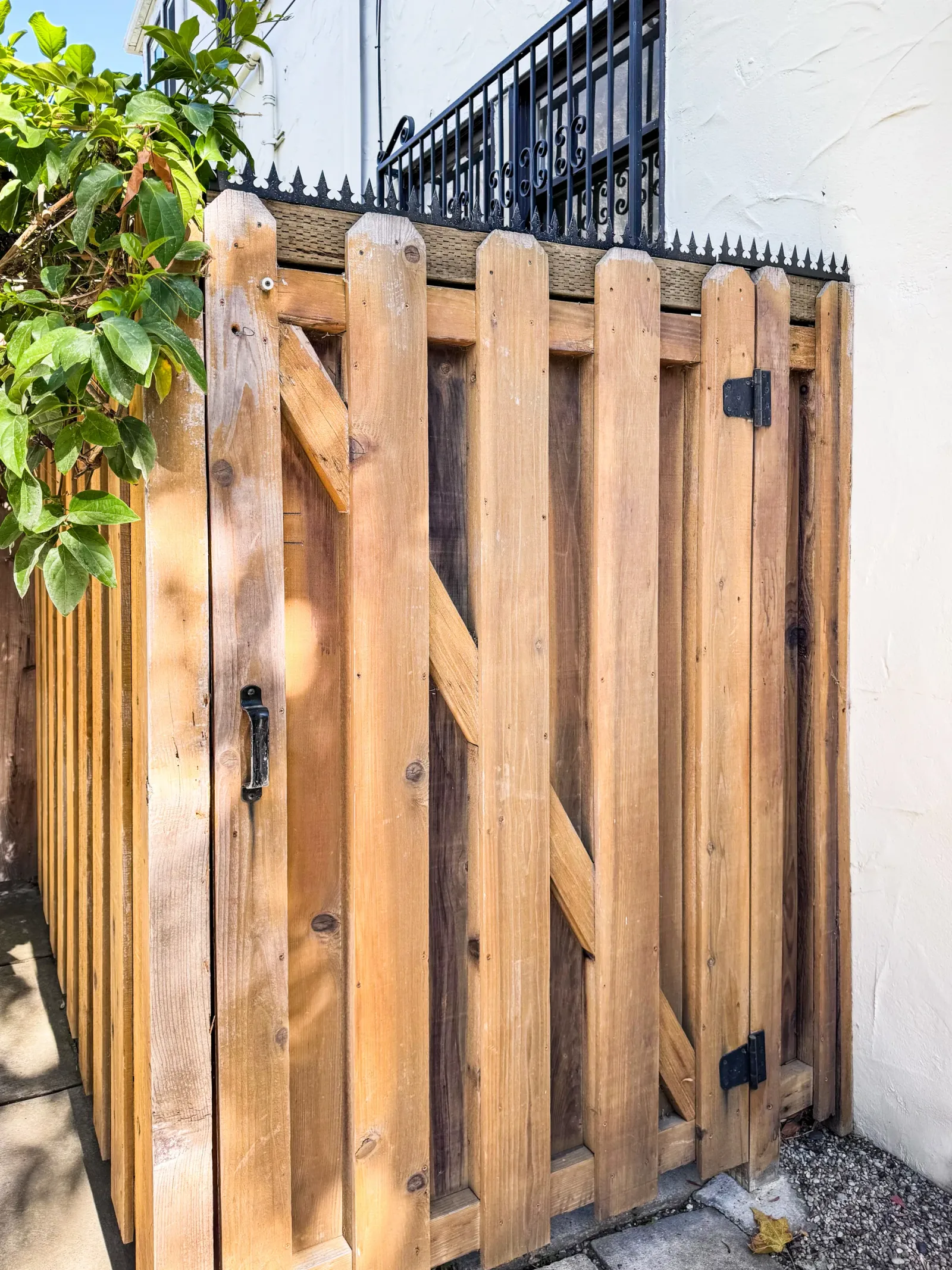 Wide view of the wooden side gate and fence line. Anti-climb spikes run continuously along the top edge.
