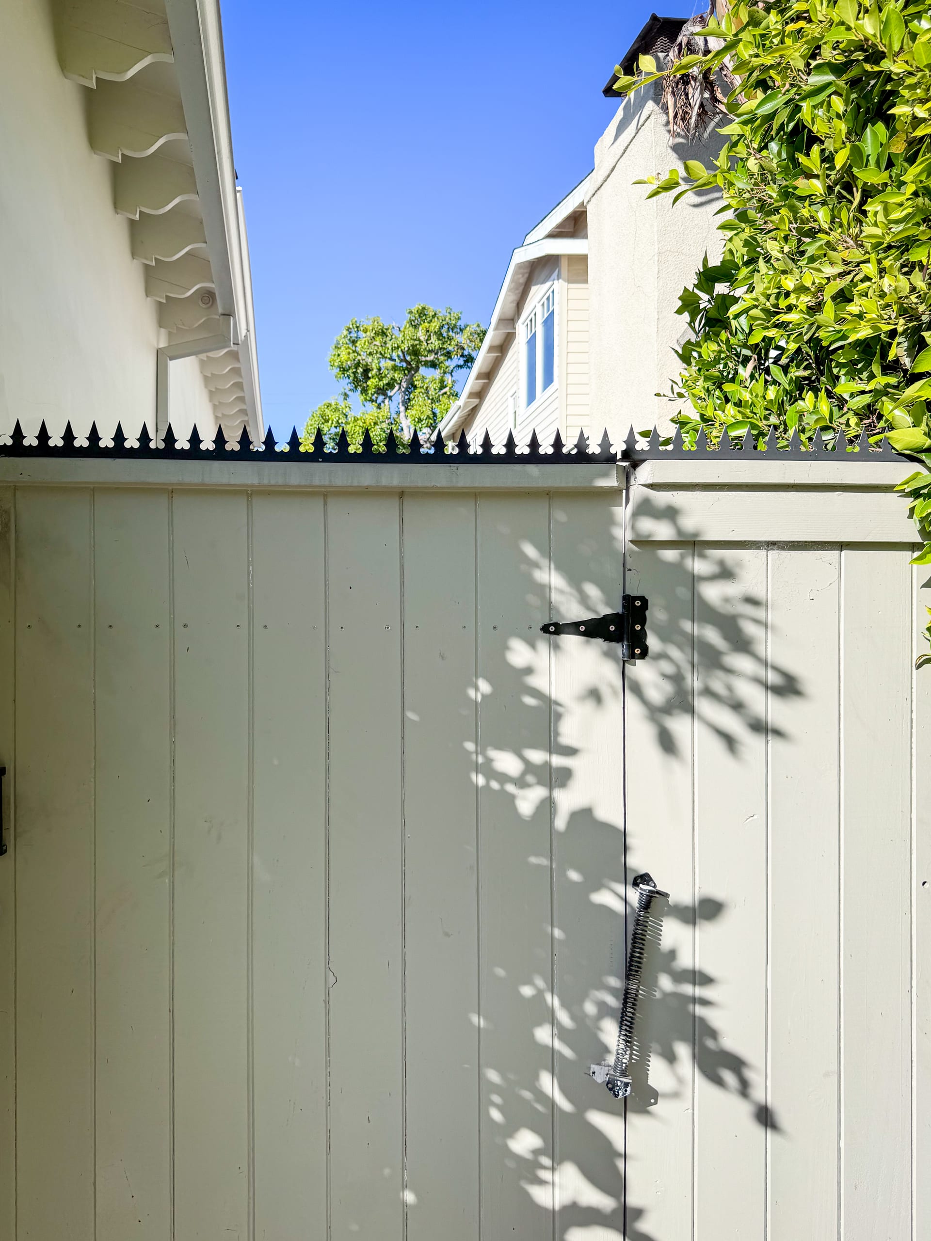 Sage-Green Board Fence & Side Gate