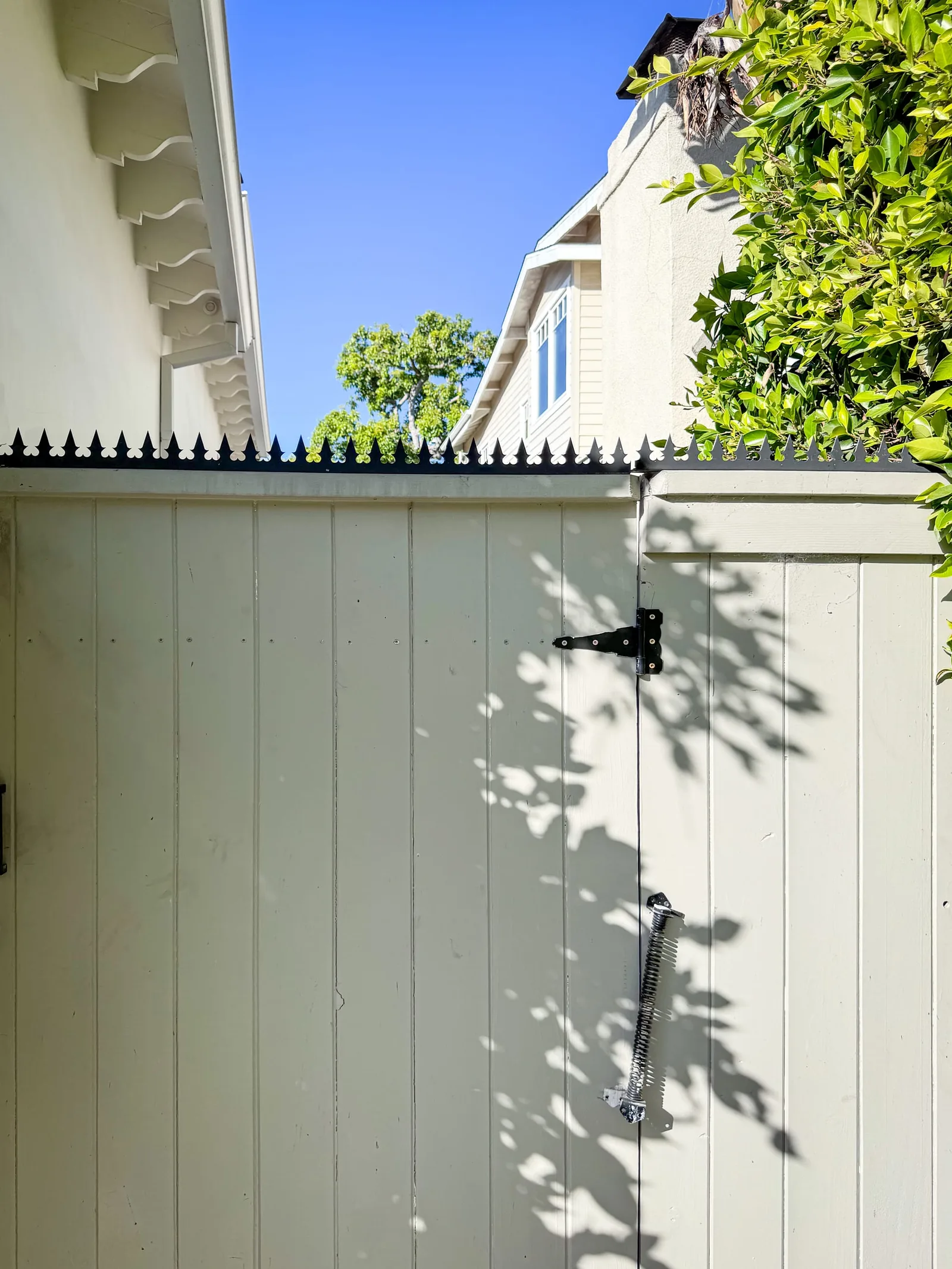 Sage-Green Board Fence & Side Gate
