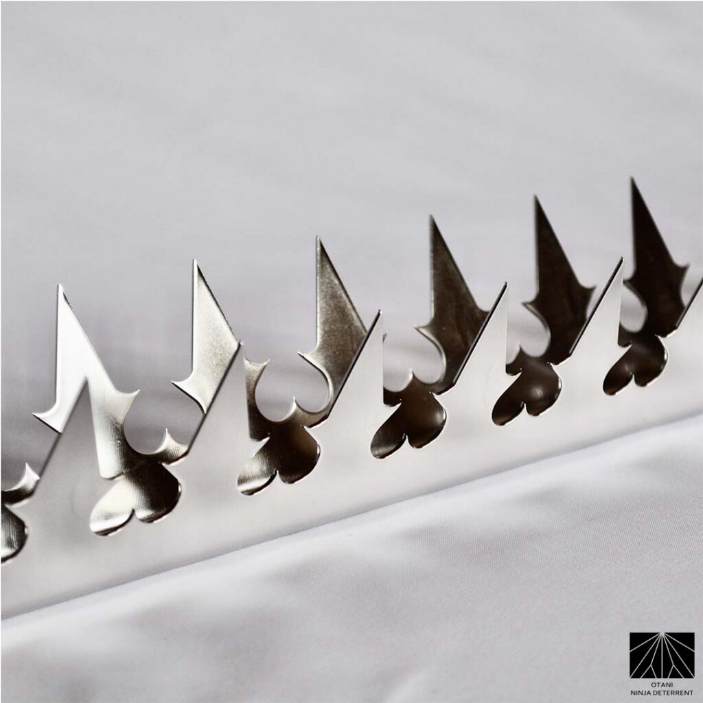 Angled close-up of GIZAGIZA stainless steel dual heart security spikes with sharp triangular blades – Japanese-made minimalist deterrent combining beauty and protection