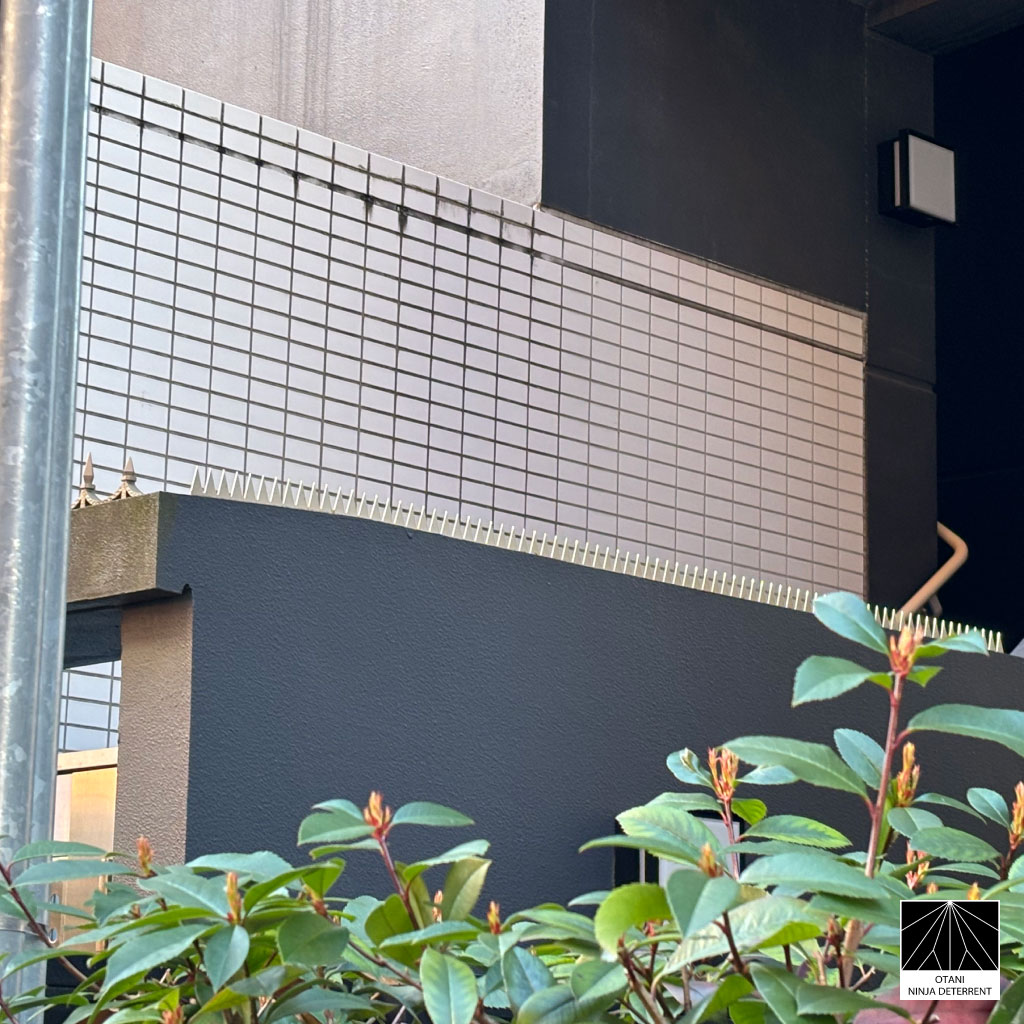 GIZAGIZA stainless steel security spikes installed on modern tiled building wall in daylight – minimalist Japanese anti-climb design integrating with urban architecture