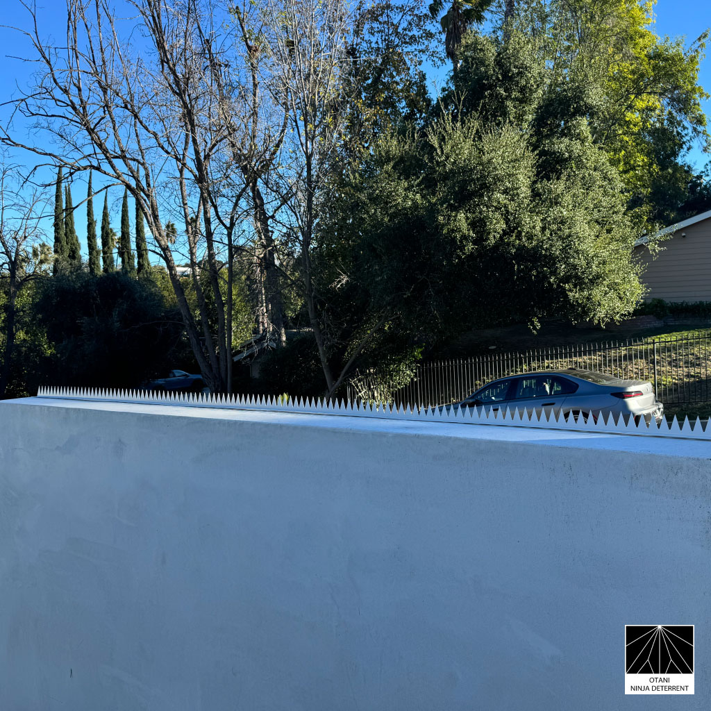 Weiße GIZAGIZA-Edelstahl-Sicherheitsstacheln auf moderner Mauer unter klarem blauen Himmel – in Japan gefertigter minimalistischer Schutz für elegante Tagessicherheit