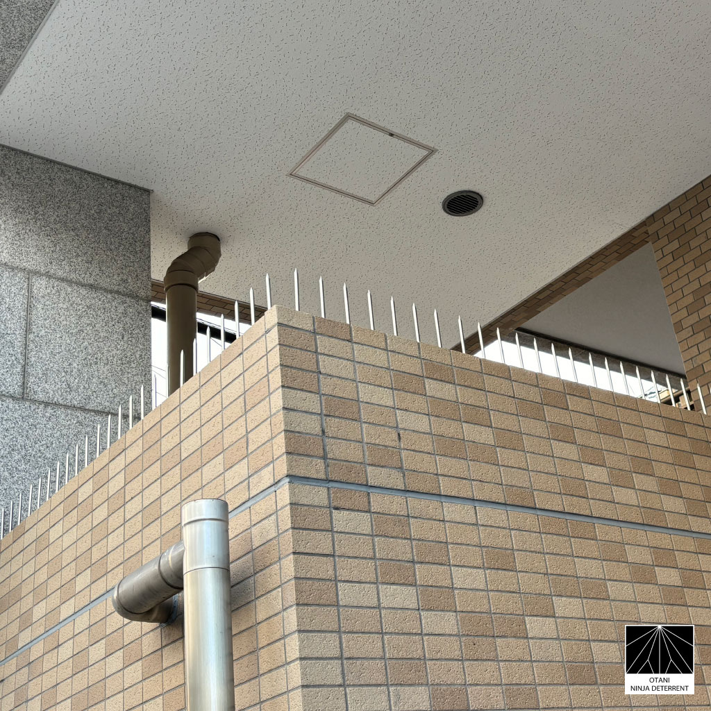 ninja-deterrent-None-installed-on-wall