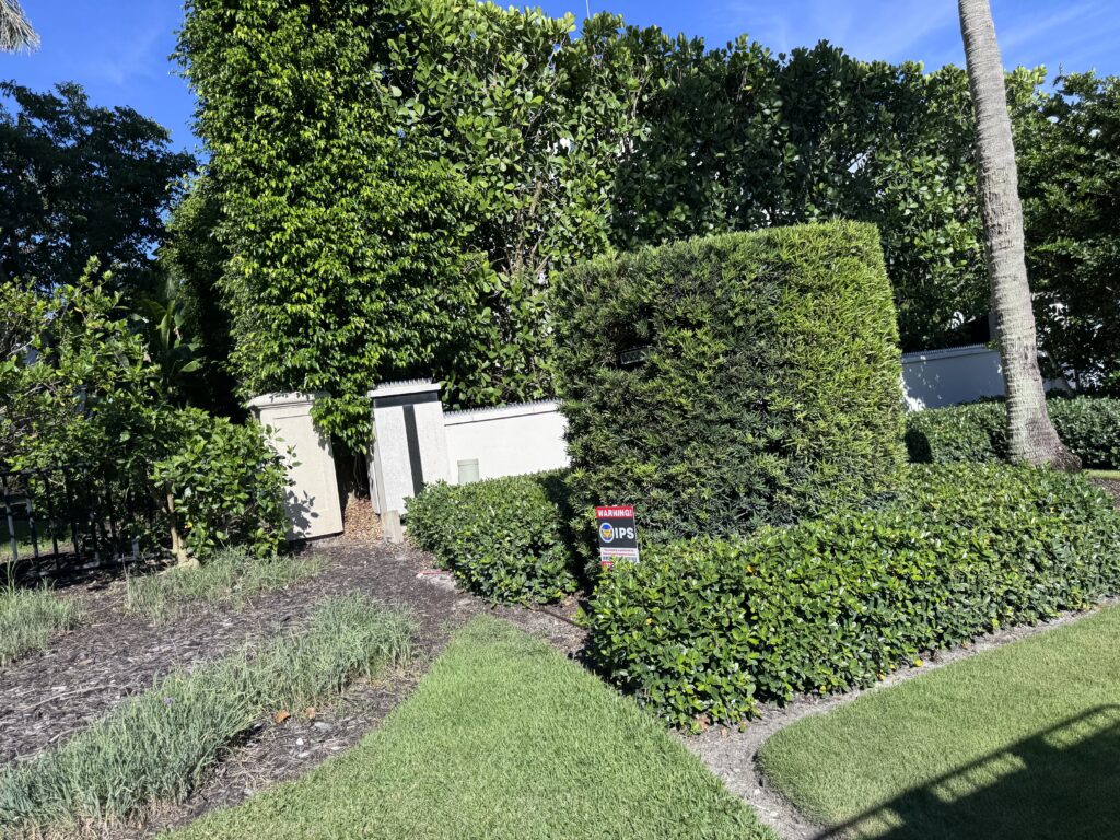 Landscaped hedge garden with a security warning sign and tall trees