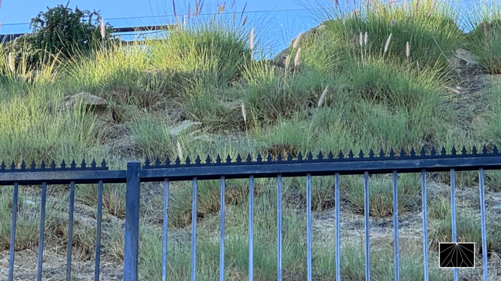 Black metal fence with spear-top anti-climb finials in front of a landscaped hillside with tall grasses.