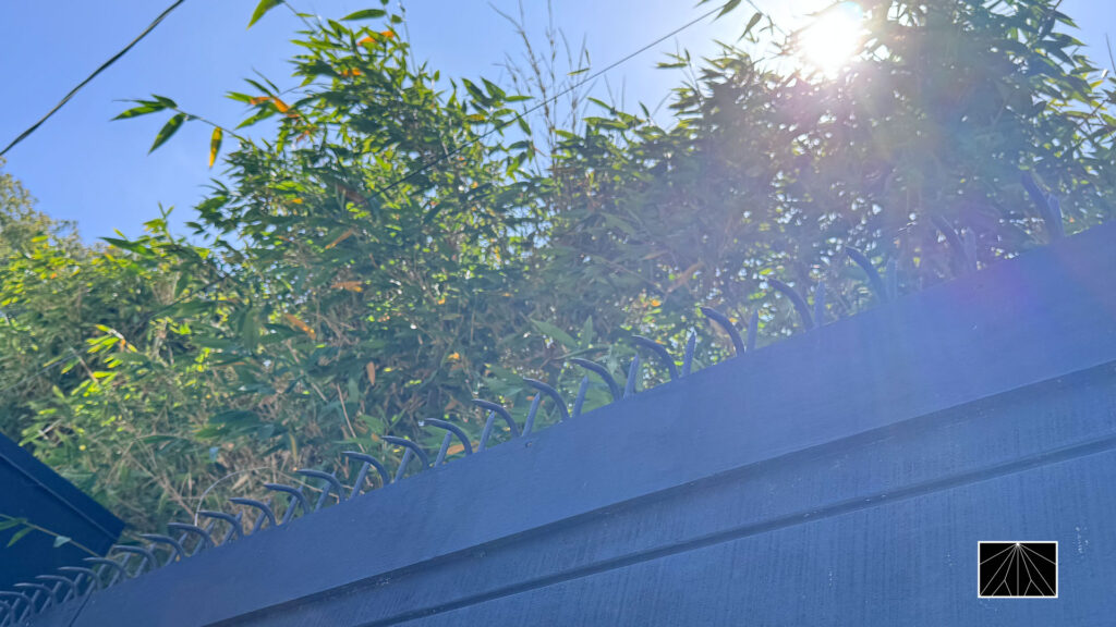 Curved anti-climb spikes installed along the top of a dark privacy fence, backlit by sunlight and surrounded by lush greenery.