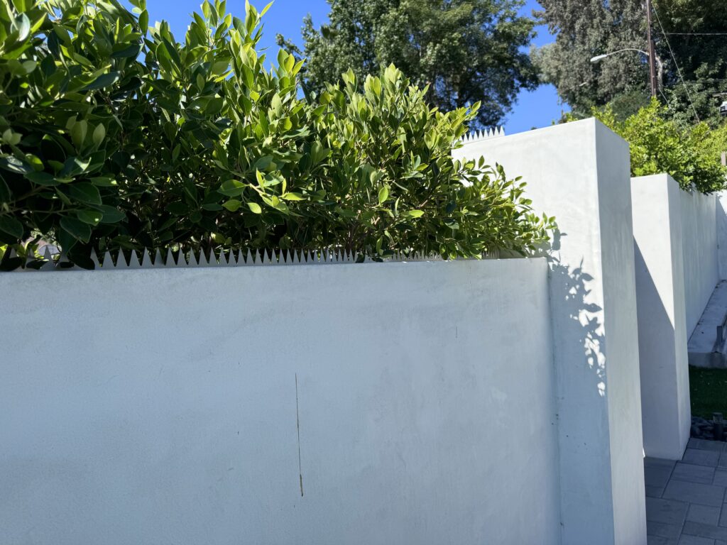 Muro de estuco blanco con pinchos antiescalada plateados y arbustos verdes detrás