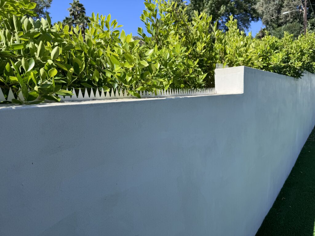 Trecho do muro frontal com espigões antiescalada instalados no topo para segurança perimetral