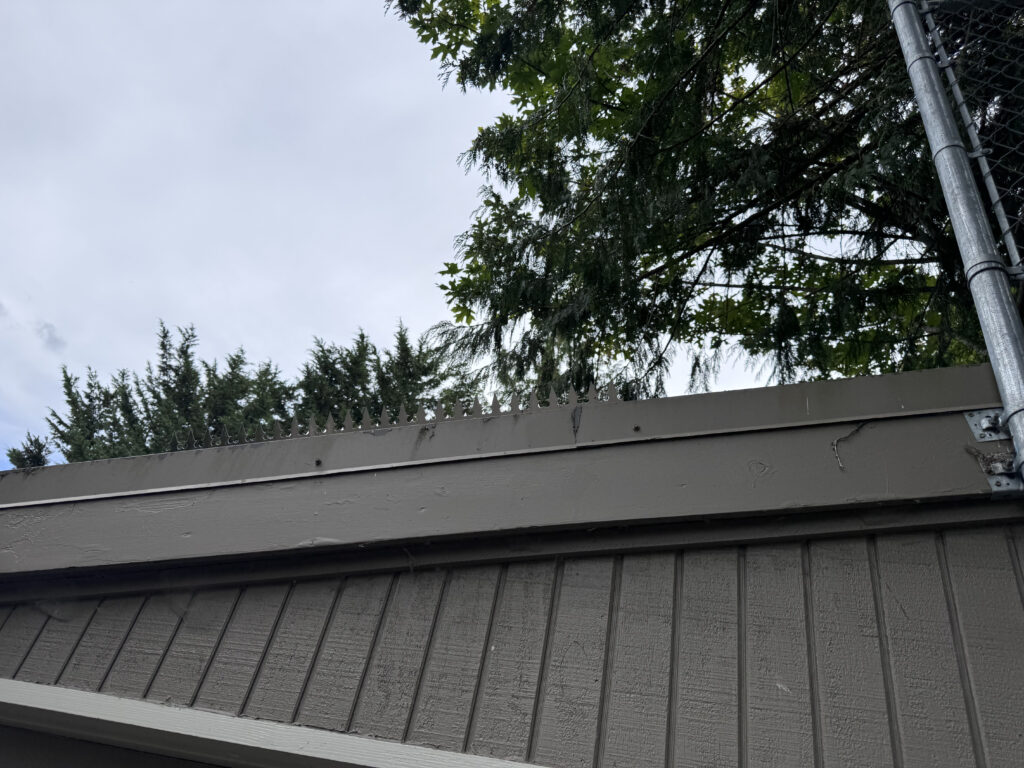 Zaunwandspikes (Fence wall spikes), installiert an den Wänden einer Garage in Seattle. Die Sicherheitslösung von Ninja Deterrent.