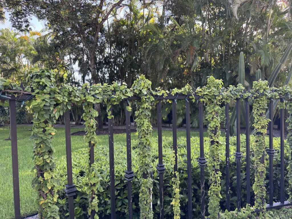 Perimeter metal fence with Gothic Ninja Deterrent™ installed along the top edge, integrated into lush landscaping.