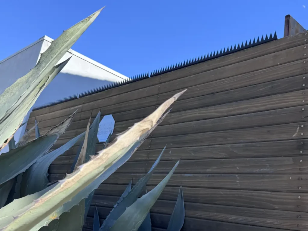 结合金属威慑刺和龙舌兰植物的住宅周界安全防护