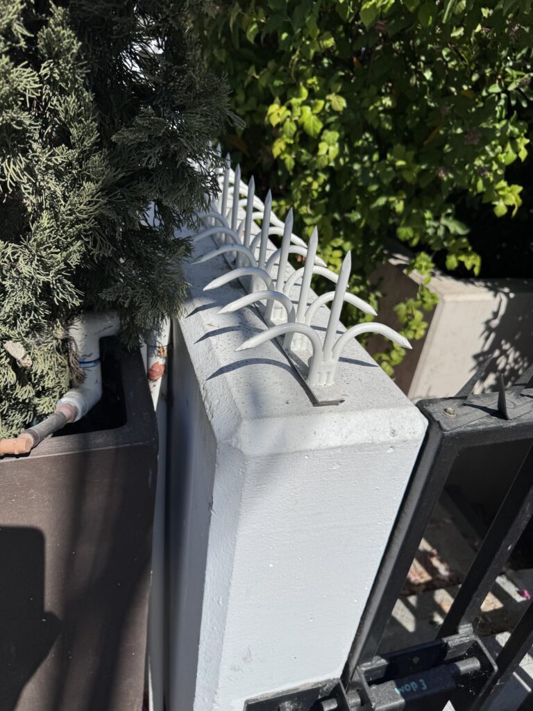 Detailaufnahme silberner Anti-Climb-Spikes auf einer weißen Mauerabdeckung neben Grün und einem Tor-Scharnier.