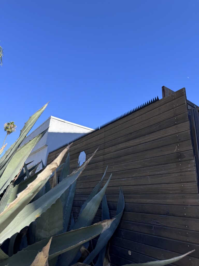 Dunkler Sichtschutzzaun aus Holz mit Anti-Climb-Sicherheits-Spikes, Agaven im Vordergrund.