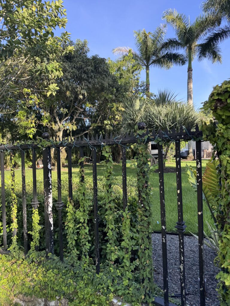 Vista vertical de una cerca metálica con Gothic Ninja Deterrent™ arriba, enmarcada por vegetación tropical