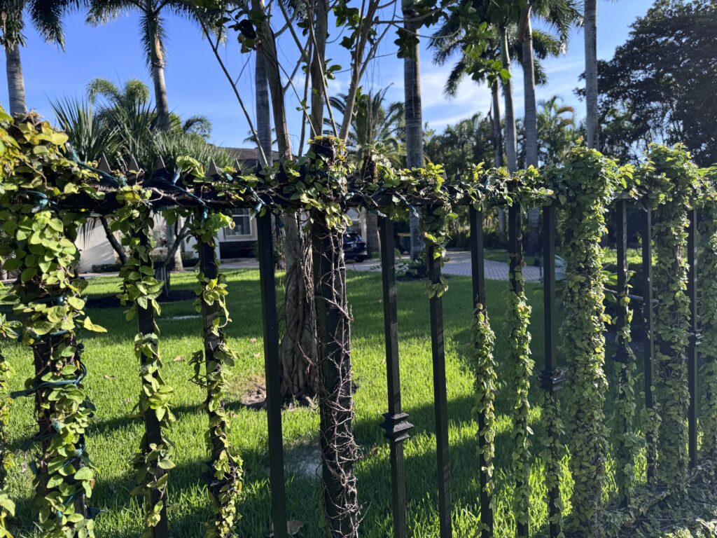 Vue en angle du dessus de la clôture avec Gothic Ninja Deterrent™ formant une couronne anti-escalade continue