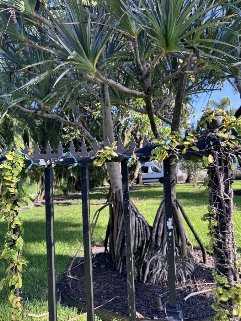 Primer plano de los pinchos Gothic Ninja Deterrent™ contra jardinería tropical para un acabado de seguridad discreto y premium